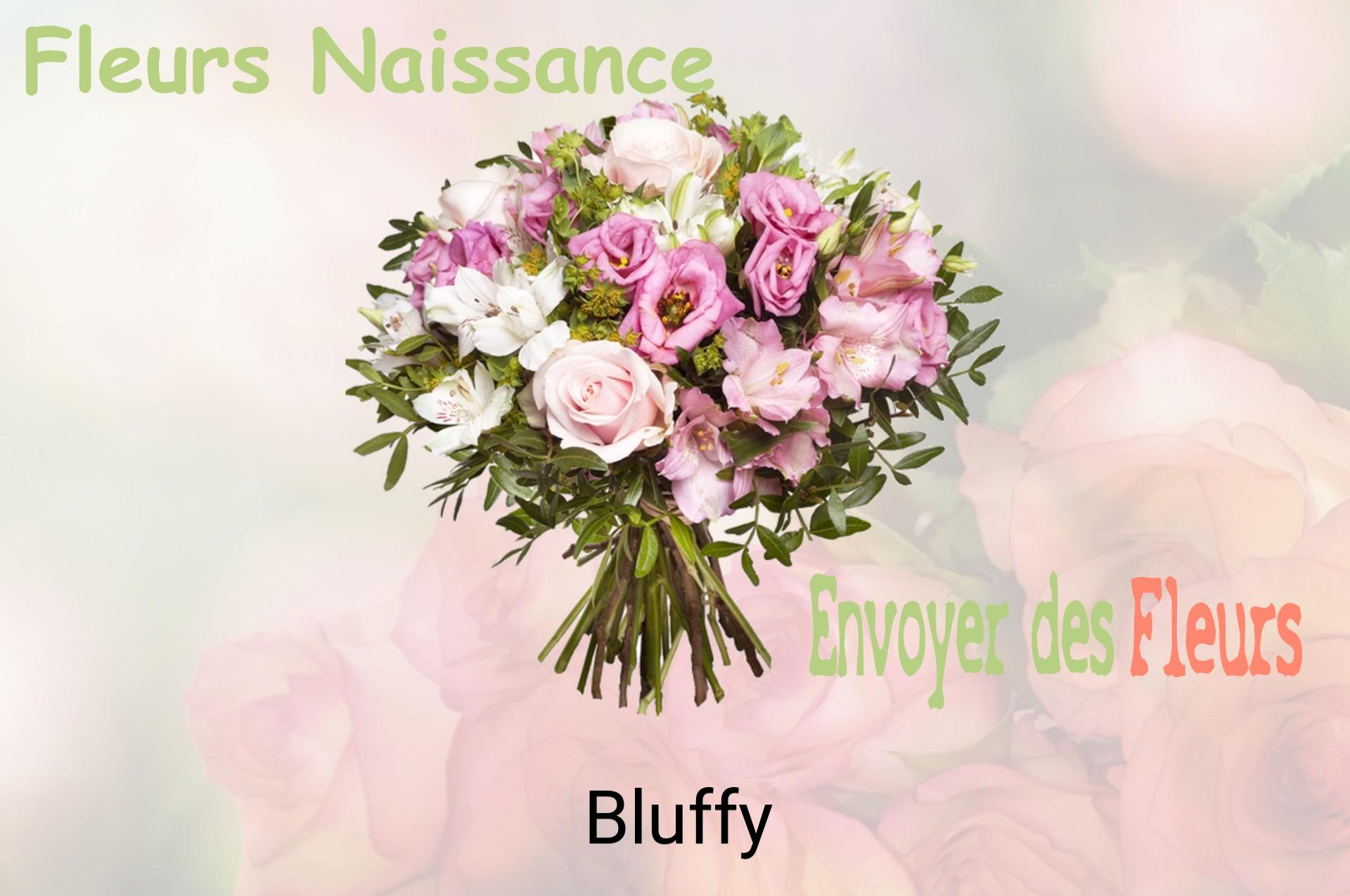 Bouquet de fleurs de naissance livré à Bluffy
